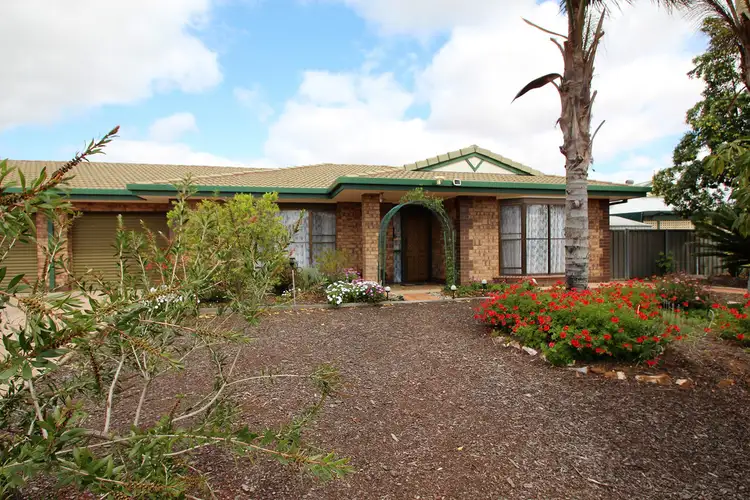 Main view of Homely house listing, 8B Cocos Place, Renmark SA 5341