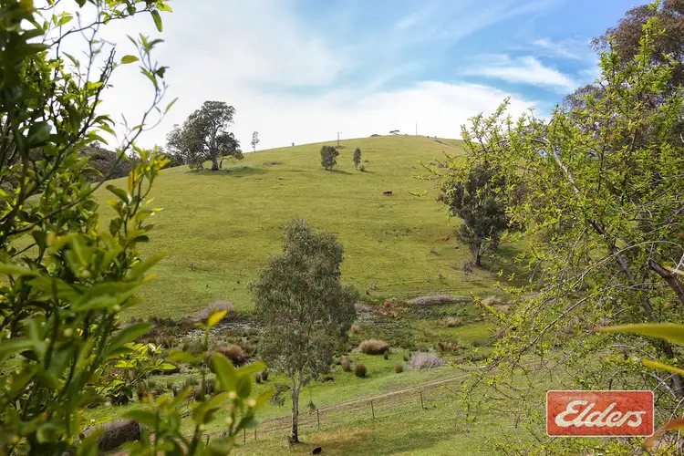 Second view of Homely house listing, 241 Hill Road, Forreston SA 5233
