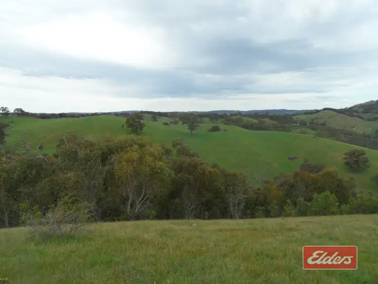 Fourth view of Homely house listing, 241 Hill Road, Forreston SA 5233