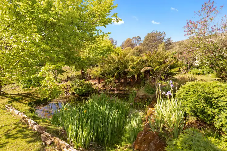 Third view of Homely rural property listing, 194 Wilks Road, Lorinna TAS 7306