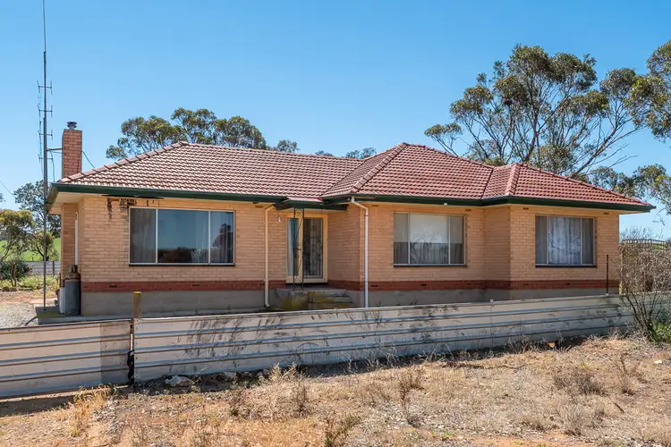 Third view of Homely rural property listing, 469 Wanbi Road Claypans via, Nildottie SA 5238