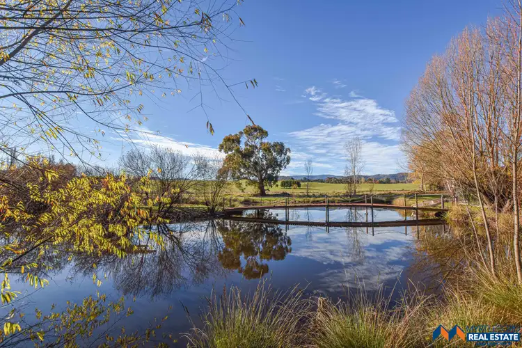 Fourth view of Homely rural property listing, 31 O'Callaghan Lane, Myrtleford VIC 3737
