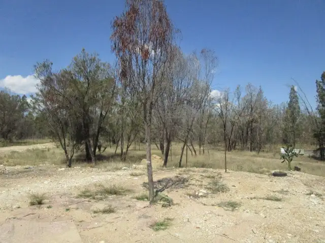 Third view of Homely rural property listing, 217 BISLEY ROAD, Tara QLD 4421