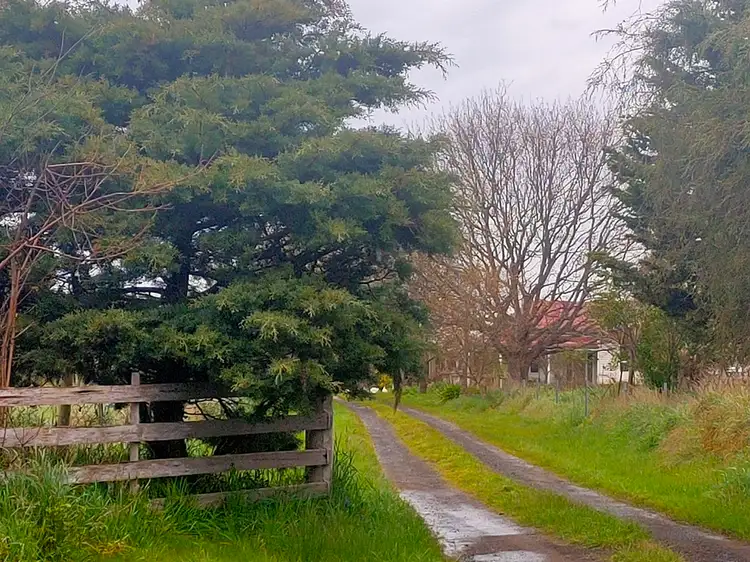 2431 Bridport Road, Bridport TAS 7262