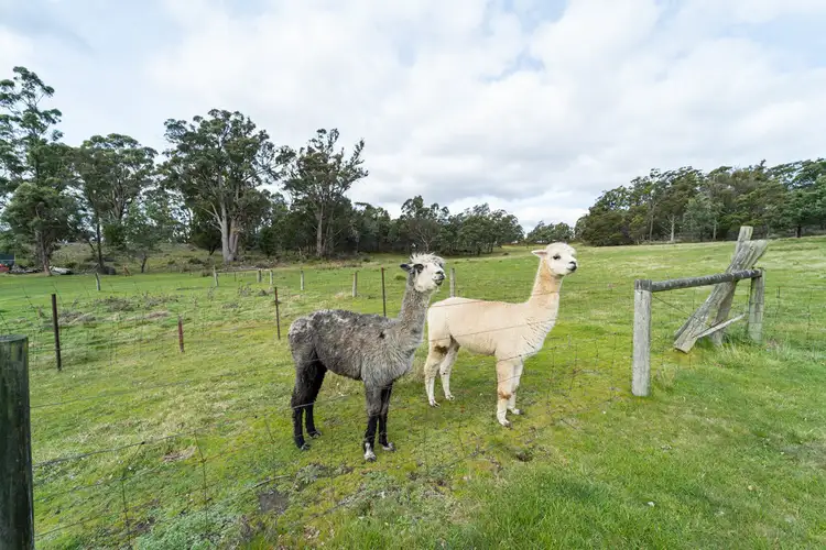 Sixth view of Homely house listing, 95 New Ecclestone Road, Riverside TAS 7250