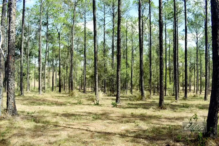 Second view of Homely land listing, Lot 177 Arborsix Road, Glenwood QLD 4570