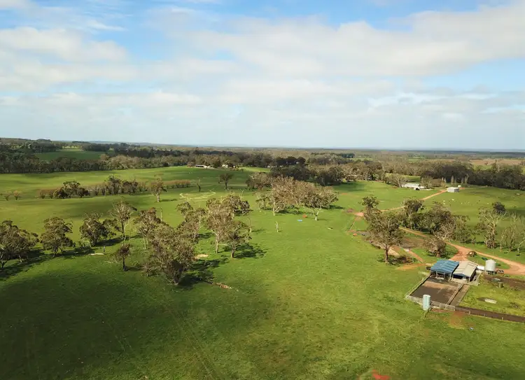 Main view of Homely rural property listing, 3580 Princes Highway, Drumborg VIC 3304