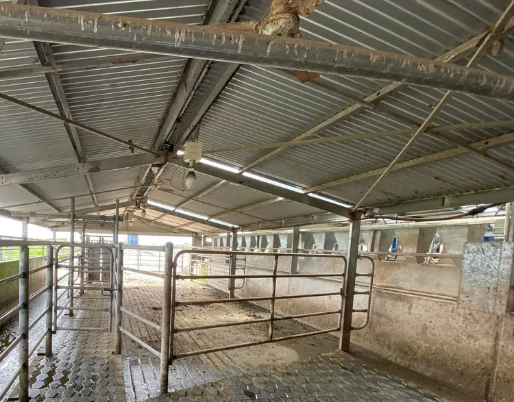 Seventh view of Homely rural property listing, 3580 Princes Highway, Drumborg VIC 3304