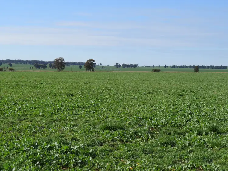 Main view of Homely rural property listing, 853 Back Barooga Road, Barooga NSW 3644