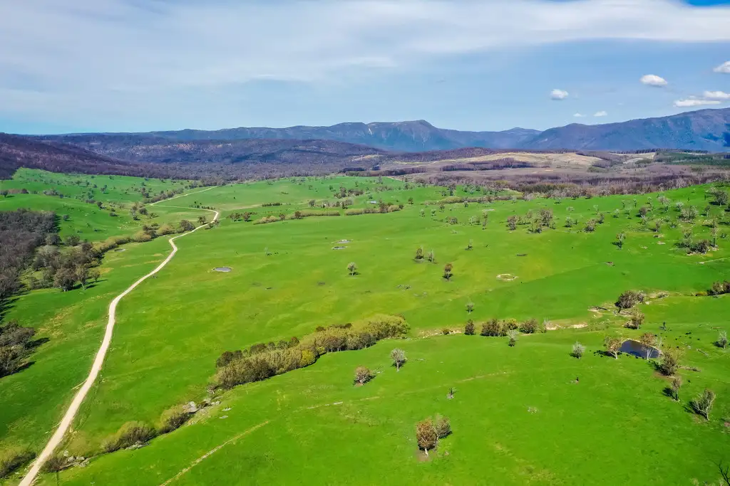 Main view of Homely rural property listing, 'DUNOLLIE PARK', Tooma NSW 2642