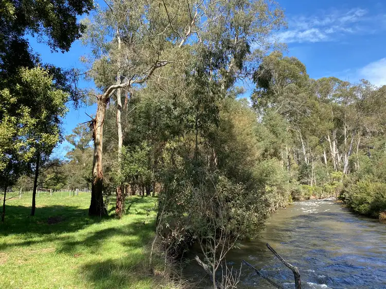Main view of Homely rural property listing, 2325 Maroondah Hwy, Buxton VIC 3711