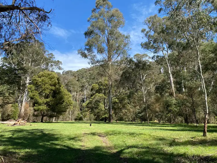 Fifth view of Homely rural property listing, 2325 Maroondah Hwy, Buxton VIC 3711