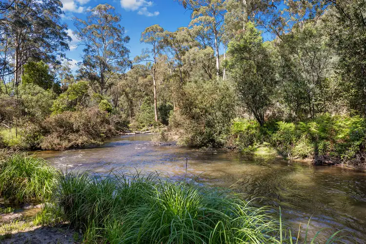 Sixth view of Homely rural property listing, 2325 Maroondah Hwy, Buxton VIC 3711