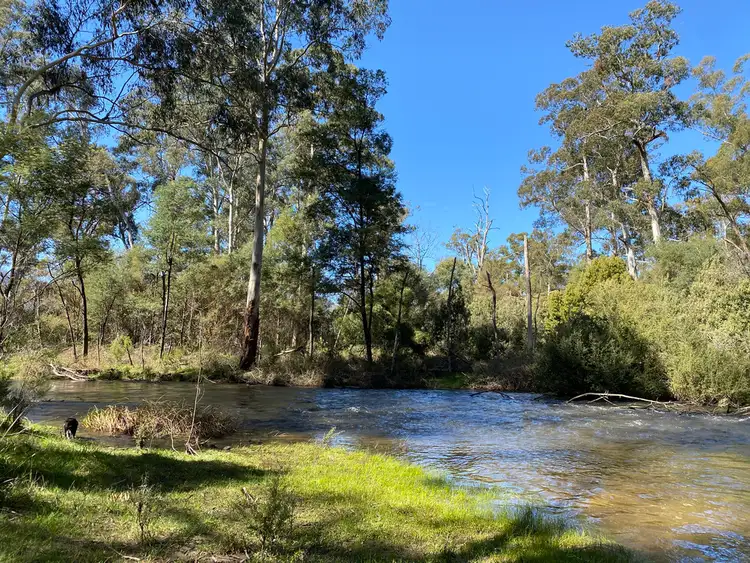 Seventh view of Homely rural property listing, 2325 Maroondah Hwy, Buxton VIC 3711