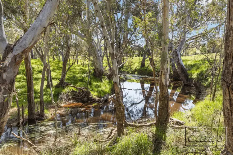 Main view of Homely land listing, 145 Sugarloaf Road, Axedale VIC 3551