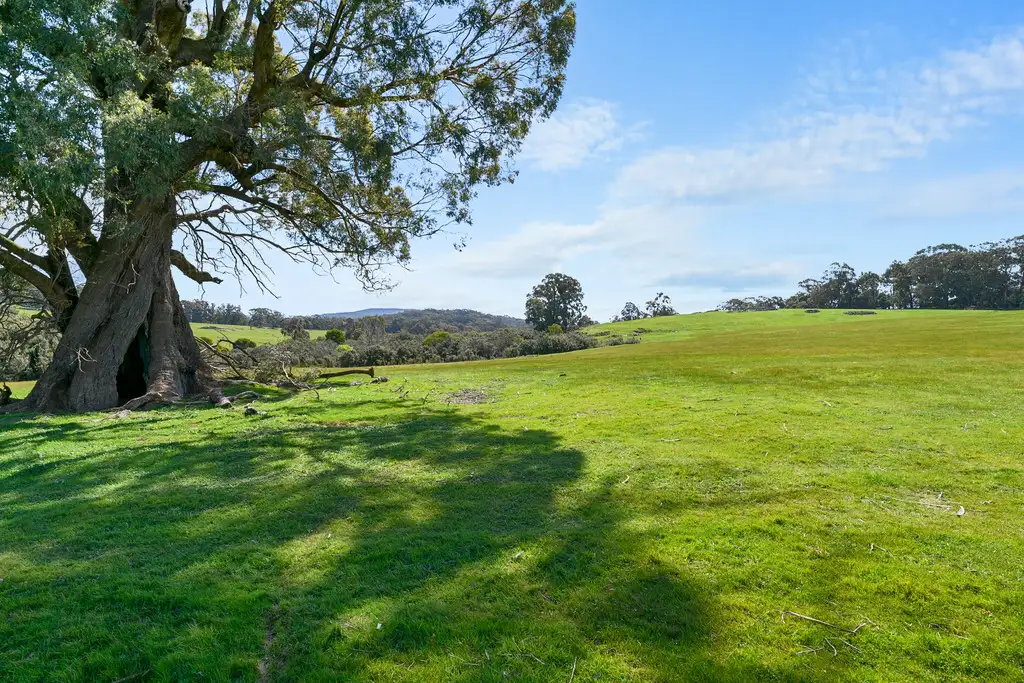 Main view of Homely rural property listing, 0 McGearys Road, Boho South VIC 3669