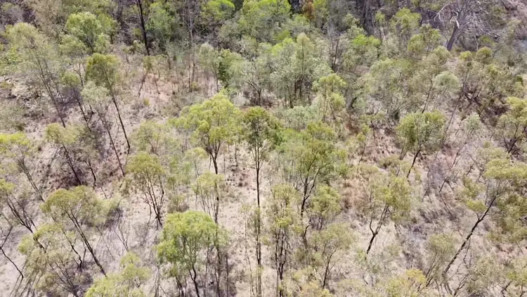 Second view of Homely land listing, LOT 18 Horsecamp Road, Horse Camp QLD 4671