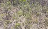 Fifth view of Homely land listing, LOT 18 Horsecamp Road, Horse Camp QLD 4671