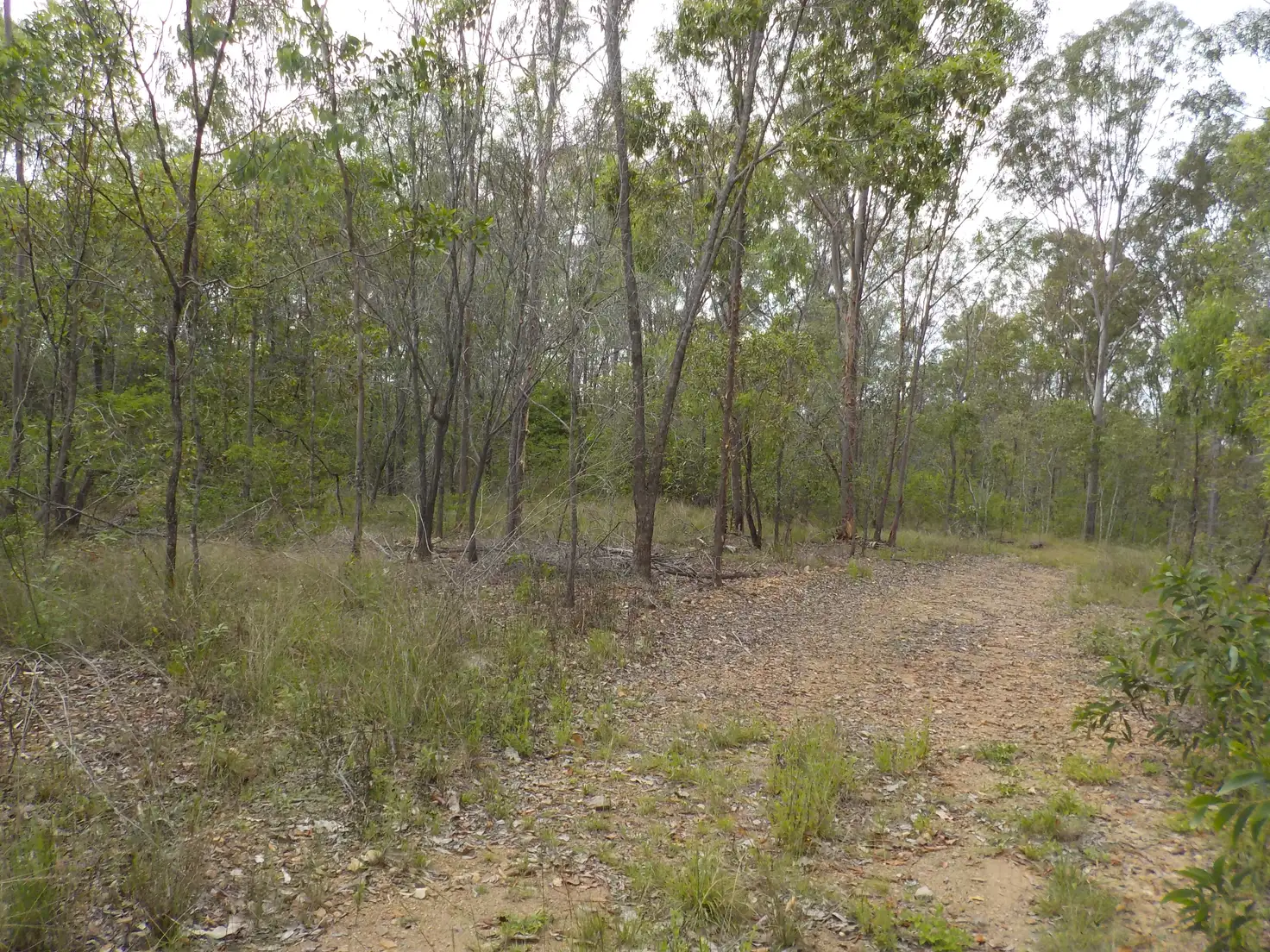 Main view of Homely land listing, ZIMMERLIE ROAD, Gin Gin QLD 4671