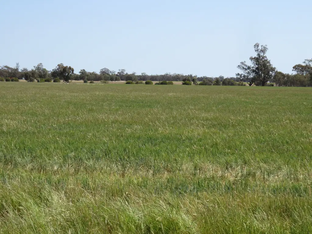 Main view of Homely rural property listing, Address available on request