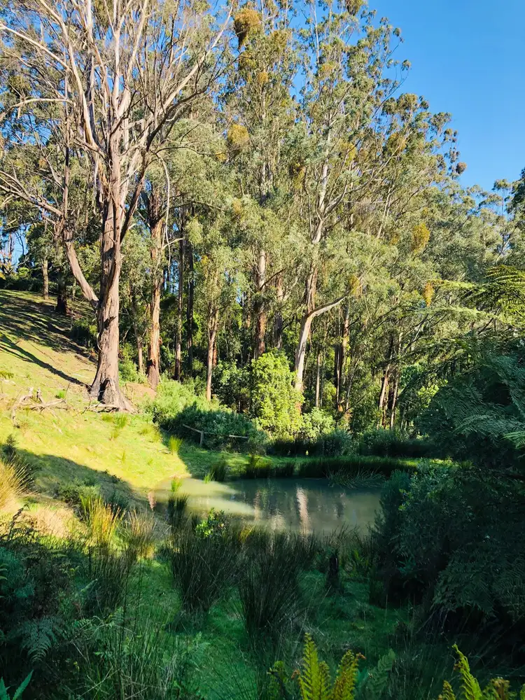 Third view of Homely rural property listing, 1040 Boolarra-Foster Rd, Foster VIC 3960