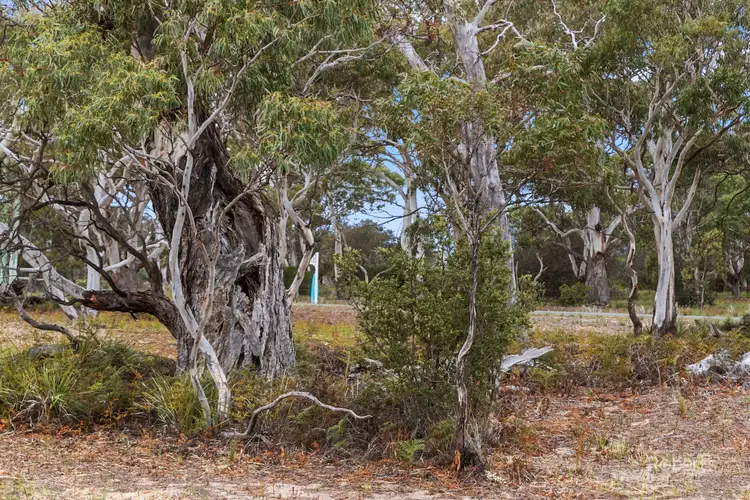 Second view of Homely land listing, 34 Cambria Drive, Dolphin Sands TAS 7190