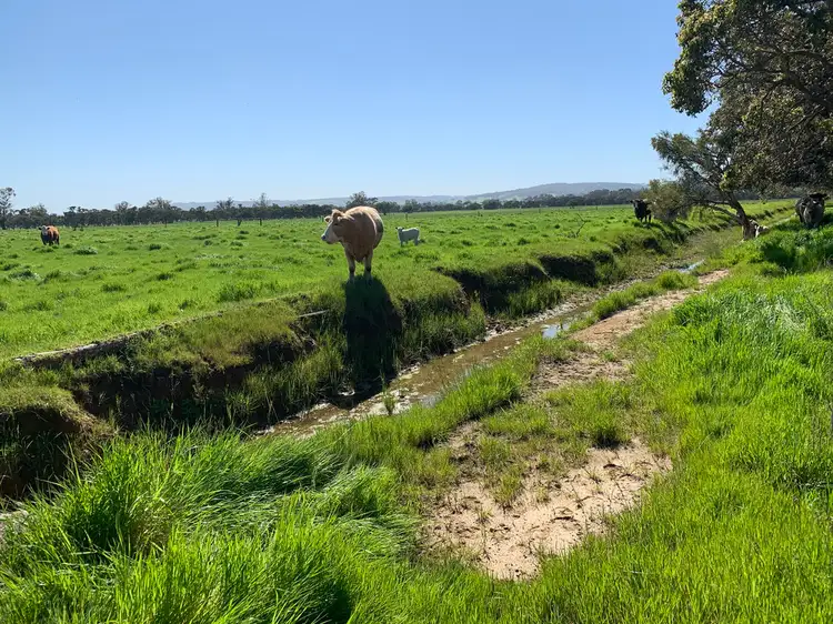 Seventh view of Homely rural property listing, Lot 1 St Helena Road, Waterloo WA 6228