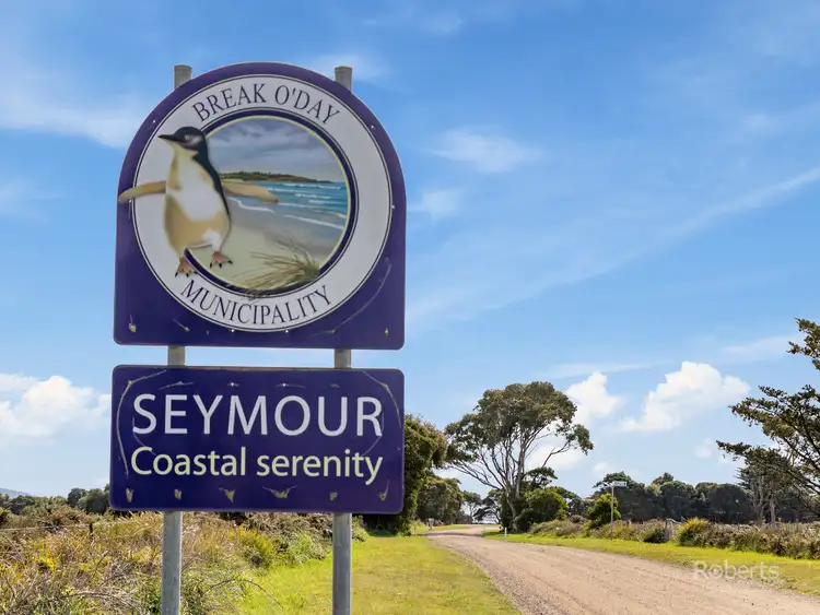 Sixth view of Homely land listing, 19 Champ Street, Seymour TAS 7215