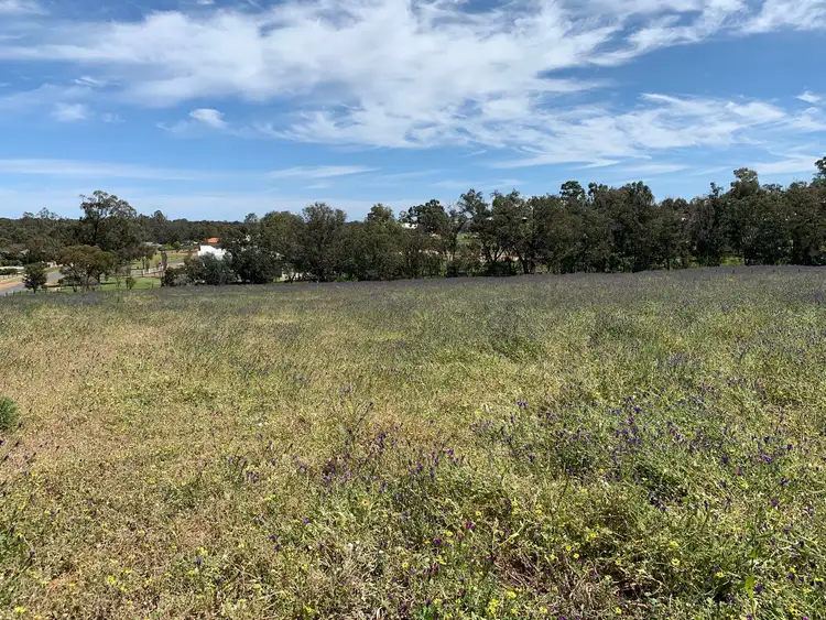 Seventh view of Homely land listing, Lot 511 Pechey Road, Jane Brook WA 6056