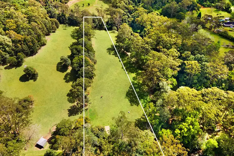 323 Wattle Tree Road, Holgate NSW 2250