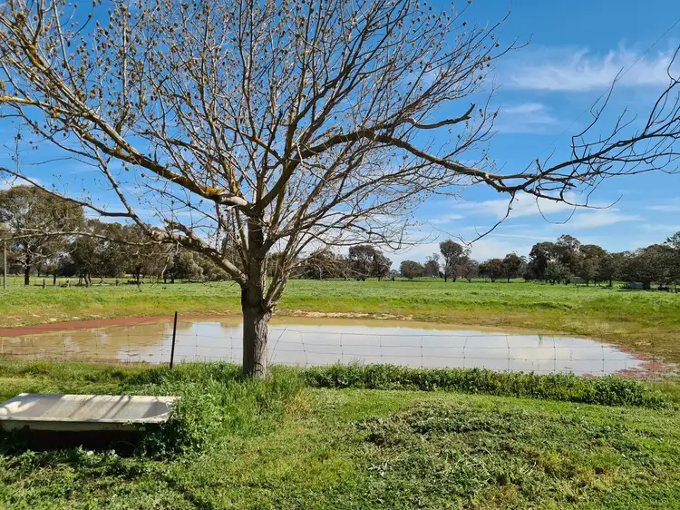 Seventh view of Homely rural property listing, 3868 Violet Town Murchison Rd, Violet Town Via, Euroa VIC 3666