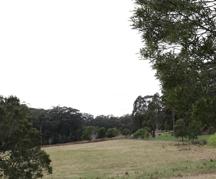 Third view of Homely rural property listing, 6 OLD PRINCES HIGHWAY, Cabbage Tree Creek VIC 3889