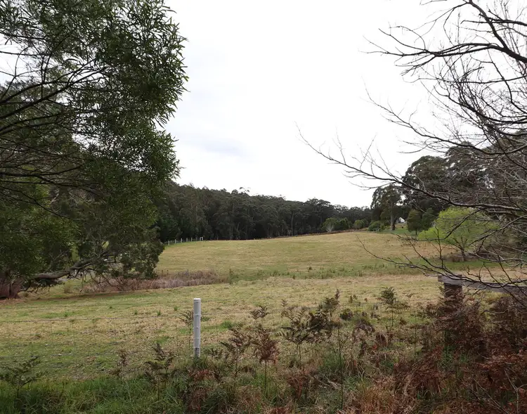 Fifth view of Homely rural property listing, 6 OLD PRINCES HIGHWAY, Cabbage Tree Creek VIC 3889