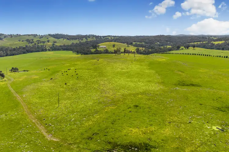 Third view of Homely rural property listing, Lot 2, 55 Ashes Bridge Road, Tallarook VIC 3659
