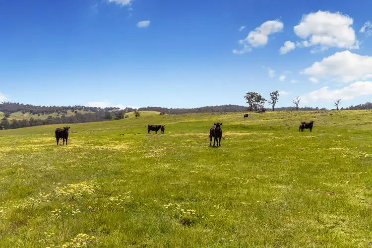 Fourth view of Homely rural property listing, Lot 2, 55 Ashes Bridge Road, Tallarook VIC 3659