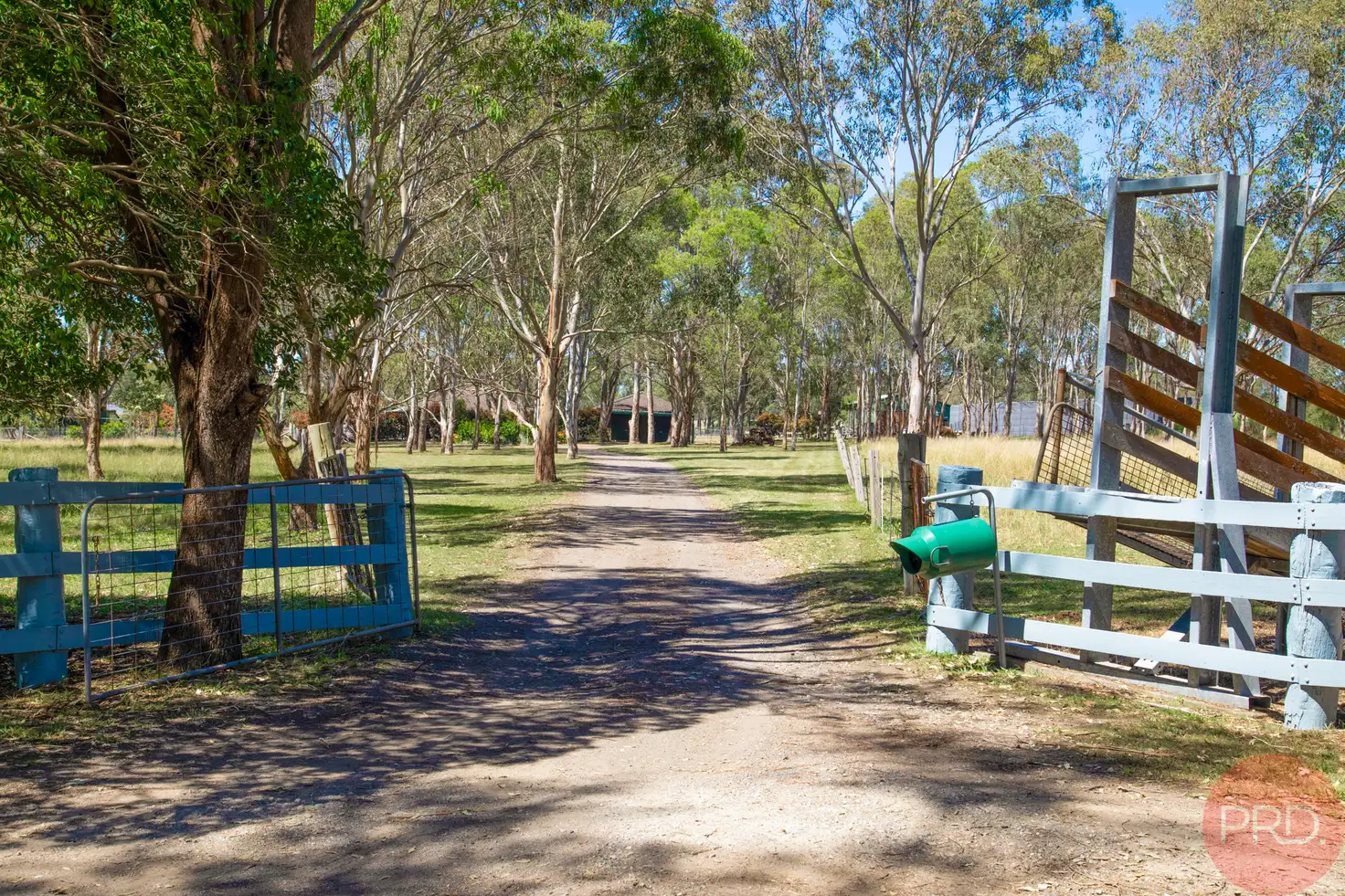 Main view of Homely house listing, 169 Winders Lane, Lochinvar NSW 2321