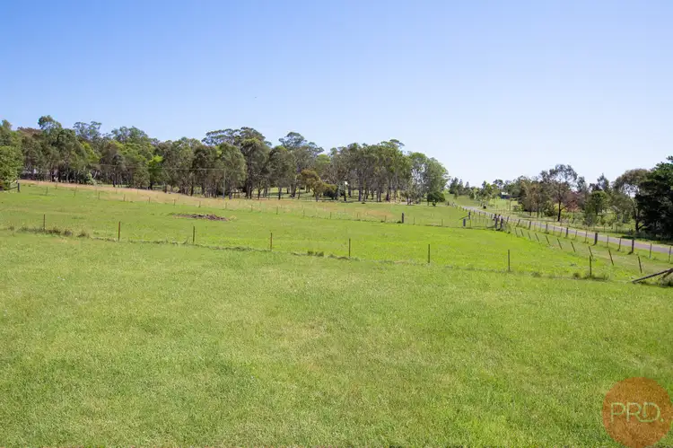 Seventh view of Homely house listing, 169 Winders Lane, Lochinvar NSW 2321