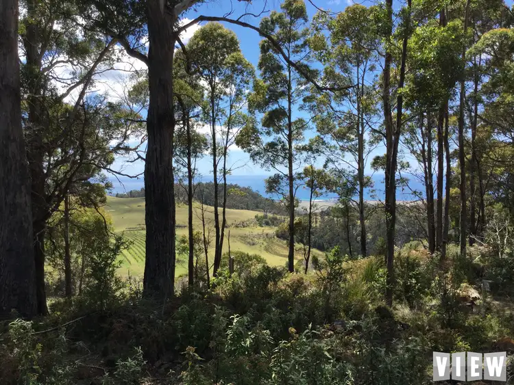 Seventh view of Homely land listing, Lot 1, 1 Mitchells Road, St Marys TAS 7215