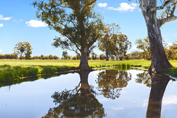 Second view of Homely rural property listing, 15 Moglonemby Road, Euroa VIC 3666