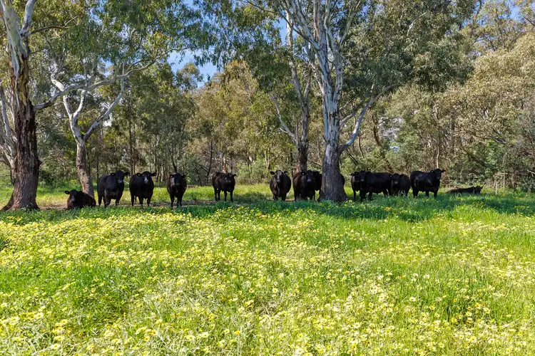 Third view of Homely rural property listing, 15 Moglonemby Road, Euroa VIC 3666