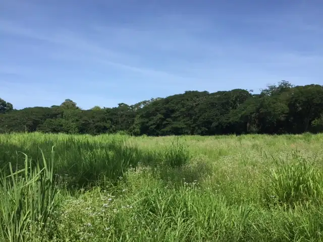 Seventh view of Homely land listing, Lot 38 Connolly Road, Mowbray QLD 4877