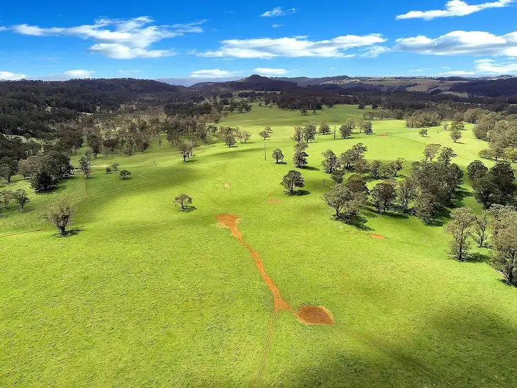 Third view of Homely rural property listing, 100 Blue Hills Road, Dorrigo NSW 2453