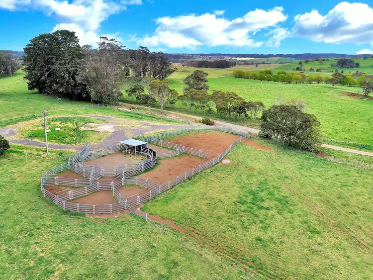 Fifth view of Homely rural property listing, 100 Blue Hills Road, Dorrigo NSW 2453