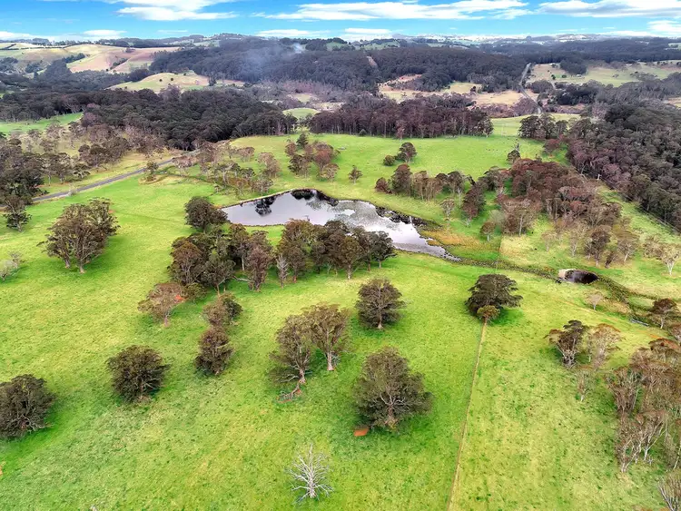 Sixth view of Homely rural property listing, 100 Blue Hills Road, Dorrigo NSW 2453