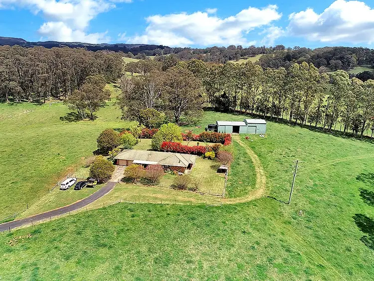Third view of Homely rural property listing, 39 Beaumonts Road, Dorrigo NSW 2453