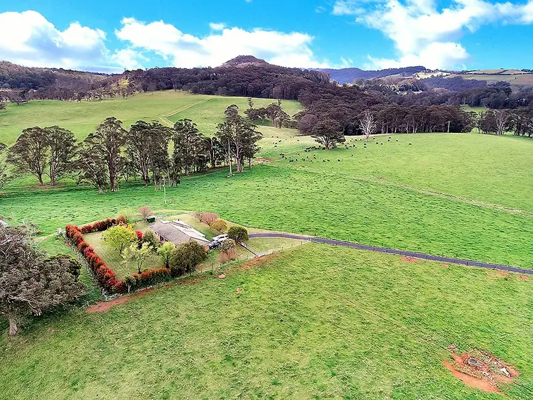 Fifth view of Homely rural property listing, 39 Beaumonts Road, Dorrigo NSW 2453
