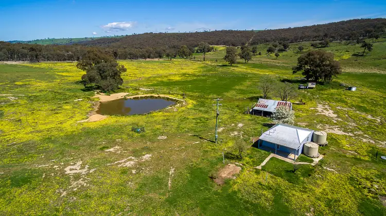 Main view of Homely rural property listing, 1807 Triangle Flat Road, Triangle Flat NSW 2795