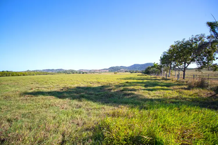 Fifth view of Homely rural property listing, 72 Neills Road, Habana QLD 4740