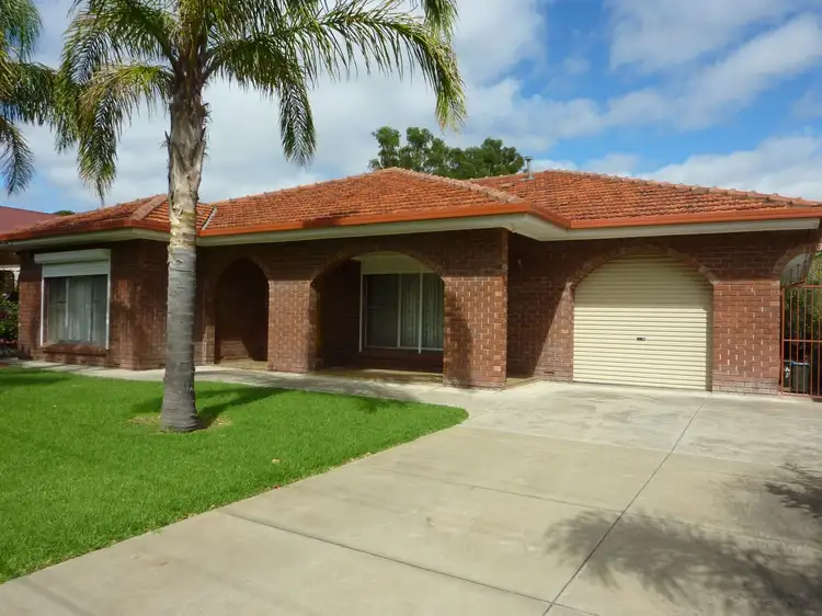 20 Treefern Avenue, Rostrevor SA 5073