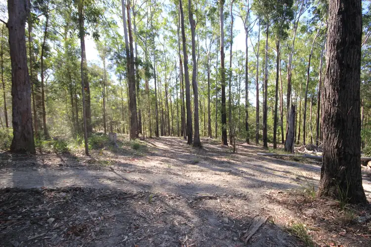 Seventh view of Homely land listing, 38 Glider Spur, Kew NSW 2439